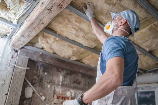 Best Eco-Friendly Insulation in Fox Chase, PA